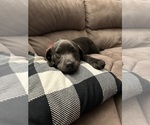 Small #11 Breeder Profile image