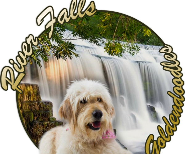 Medium Photo #1  Breeder Profile in EASLEY, SC, USA