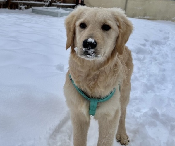 Medium Photo #4  Breeder Profile in LAMAR, CO, USA