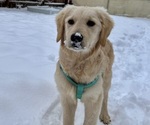 Small #3 Breeder Profile image