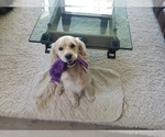 Small #19 Breeder Profile image