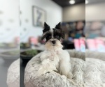 Small #9 Breeder Profile image