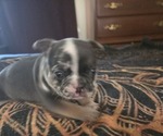 Small #8 Breeder Profile image