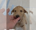 Small #8 Breeder Profile image