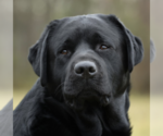 Small #3 Breeder Profile image