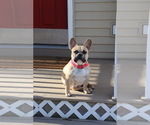 Small #6 Breeder Profile image