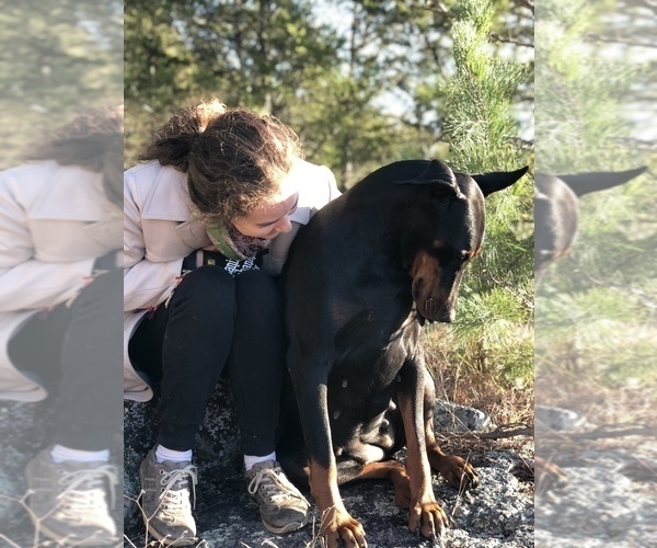 Medium Photo #4  Breeder Profile in FREDERICKTOWN, MO, USA
