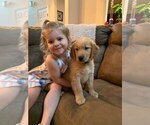 Small #24 Breeder Profile image