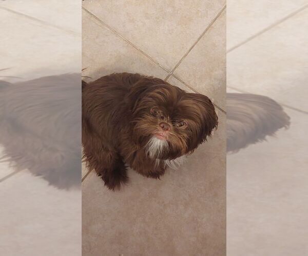 Medium Photo #3  Breeder Profile in SCOTTSDALE, AZ, USA