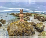 Small #29 Breeder Profile image
