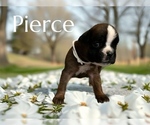 Small #4 Breeder Profile image