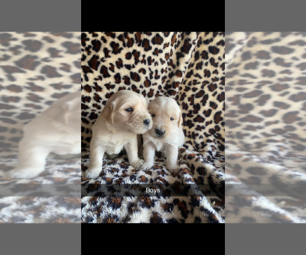 Medium Photo #6  Breeder Profile in PRITCHETT, CO, USA
