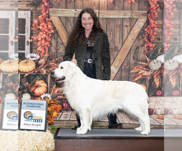 Medium Photo #1  Breeder Profile in TEHACHAPI, CA, USA