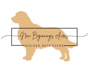 Golden Retriever Dog Breeder in JEFFERSON,  USA