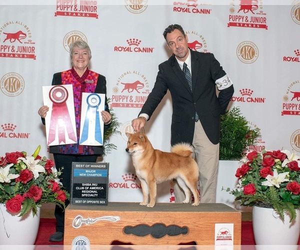 Medium Photo #18  Breeder Profile in THOMASTON, GA, USA