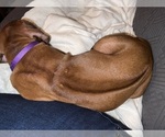 Small #6 Breeder Profile image