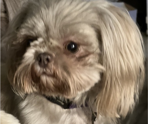 Medium Photo #1  Breeder Profile in TOMBALL, TX, USA