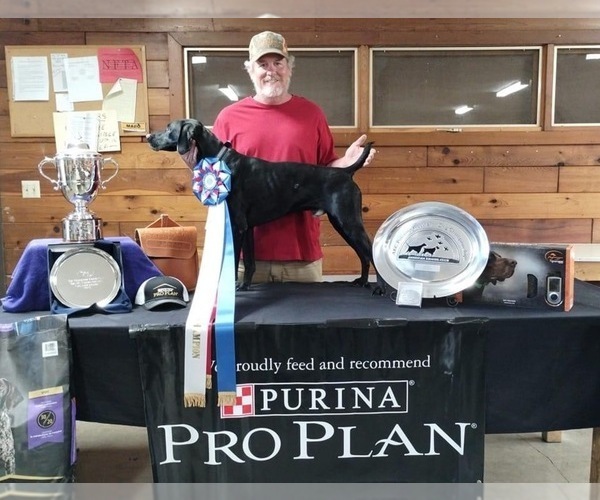 Medium Photo #30  Breeder Profile in LEXINGTON, SC, USA