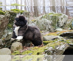Small #9 Breeder Profile image