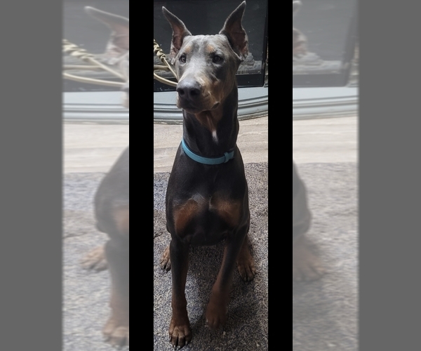 Medium Photo #1  Breeder Profile in POMEROY, OH, USA