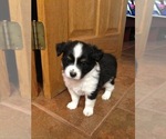 Small #9 Breeder Profile image