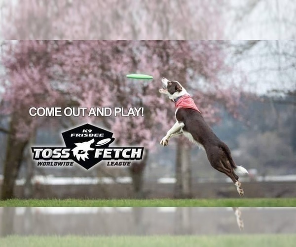 Medium Photo #5  Breeder Profile in CAMAS, WA, USA