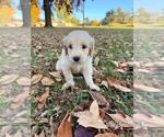 Small #6 Breeder Profile image