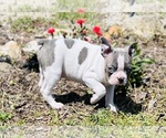 Small #5 Breeder Profile image