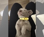 Small #2 Breeder Profile image
