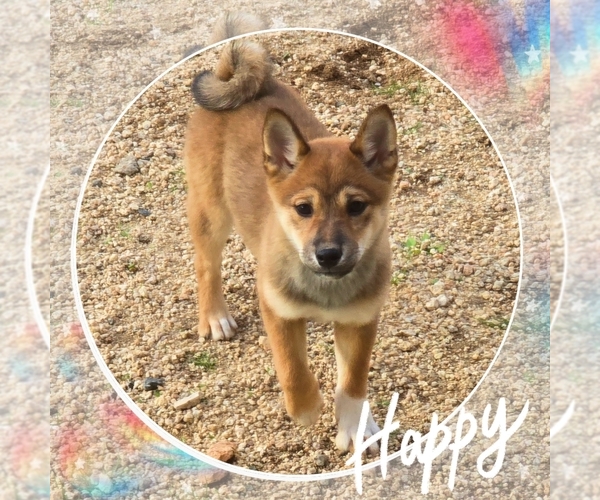 Medium Photo #1  Breeder Profile in SAN DIEGO, CA, USA