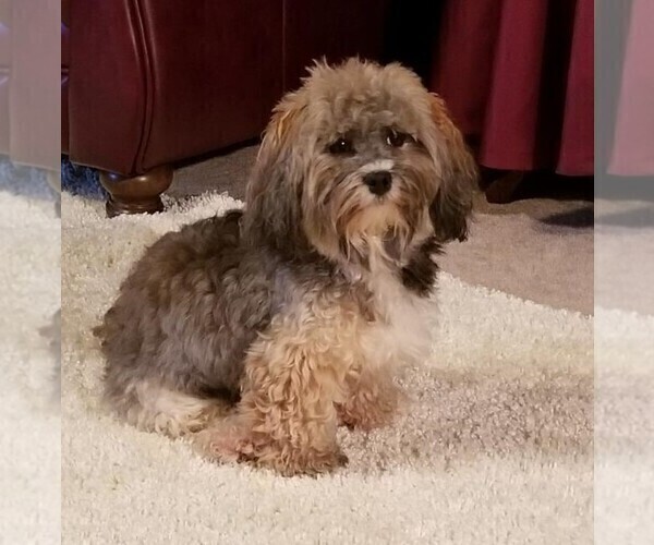 Medium Photo #1  Breeder Profile in LORE CITY, OH, USA