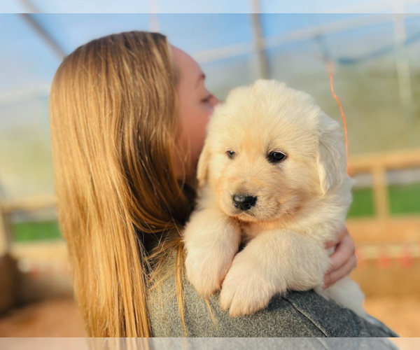 Medium Photo #1  Breeder Profile in JUNCTION CITY, OR, USA