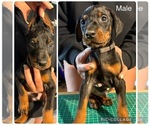 Small #7 Breeder Profile image