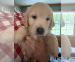 Small #3 Breeder Profile image
