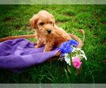 Small #5 Breeder Profile image