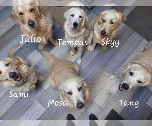 Medium Photo #1  Breeder Profile in CLANTON, AL, USA