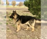 Small #3 Breeder Profile image