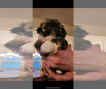 Small #9 Breeder Profile image