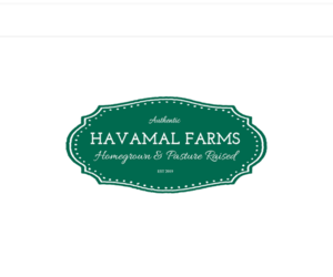 Catahoula Leopard Dog Dog Breeder near WESTFIELD, NC, USA