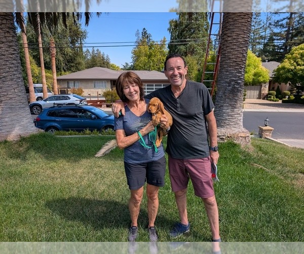 Medium Photo #13  Breeder Profile in LOS GATOS, CA, USA