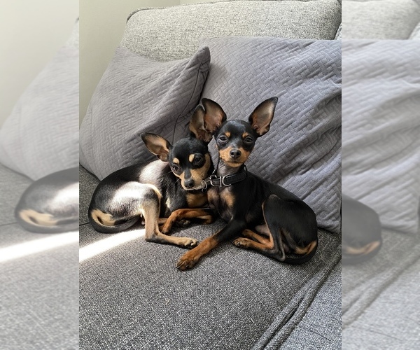 Medium Photo #1  Breeder Profile in Campbell River, British Columbia, Canada