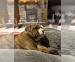 Small #24 Breeder Profile image