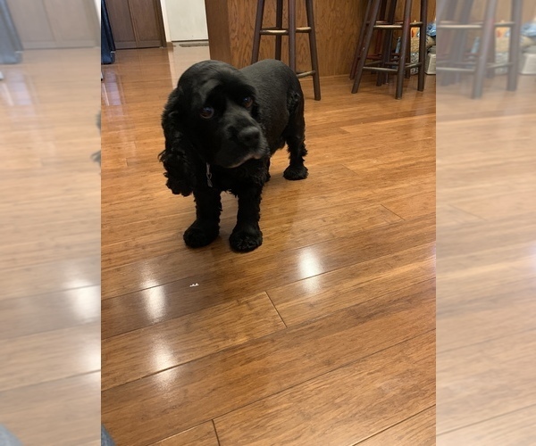 Medium Photo #9  Breeder Profile in NEW PARIS, IN, USA