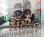 Small #320 Breeder Profile image
