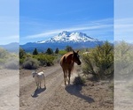 Small #14 Breeder Profile image