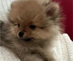 Small #28 Breeder Profile image