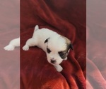 Small #113 Breeder Profile image
