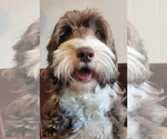 Small #15 Breeder Profile image