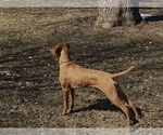 Small #3 Breeder Profile image