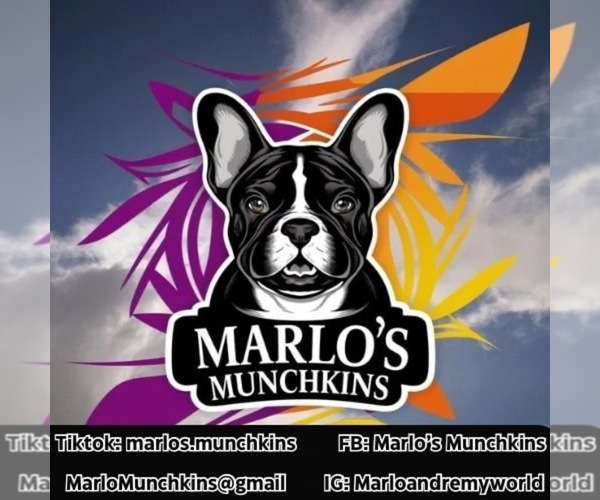 Medium Photo #1  Breeder Profile in HOPEWELL, VA, USA